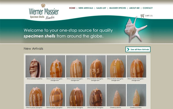 Werner Massier Speciman Shells